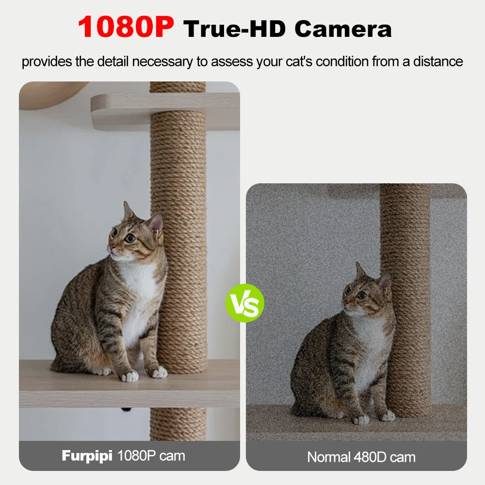 Pawtentials 8 L Slimme Voederbak – Met Camera, App & Spraakfunctie