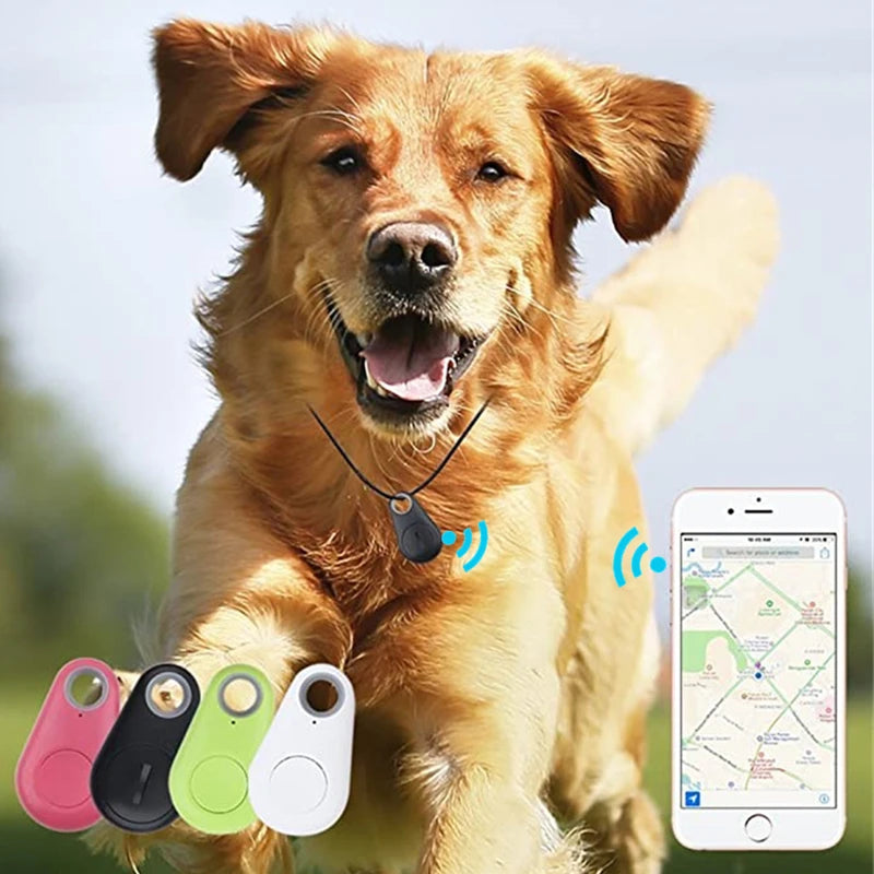 GPS Dierentracker – Nooit Meer Je Hond of Kat Kwijt