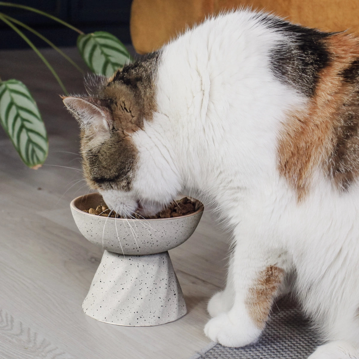 Verhoogde keramische voerbak voor katten