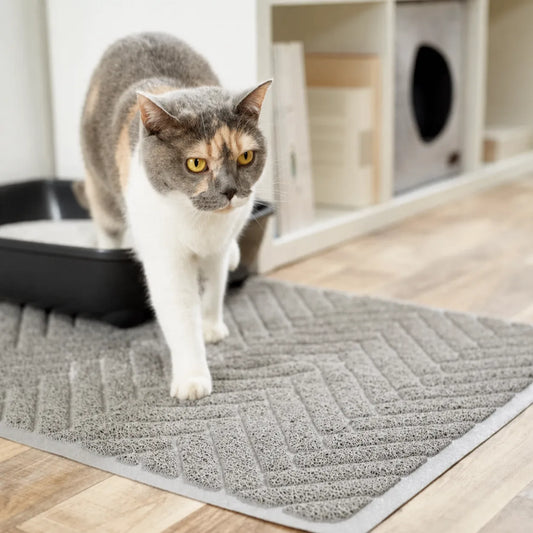 Kattenbakmat maximus