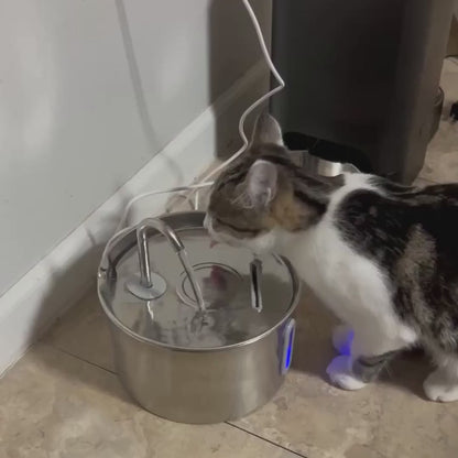 RVS Drinkfontein voor Katten